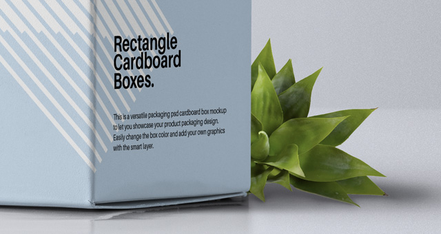 Creative PSD Download