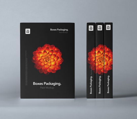 Psd Boxes Packaging Pack Mockup 2