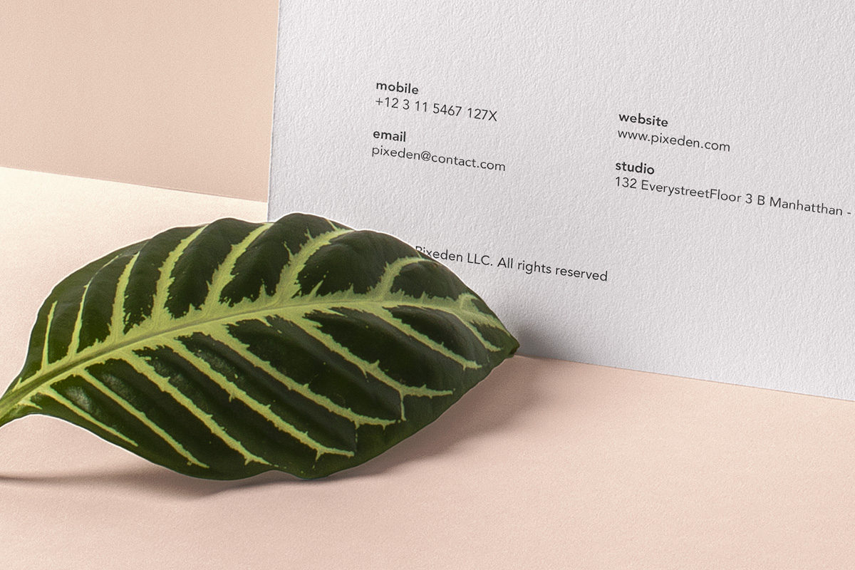 Download Basic Mailing Stationery Mockup 2 | Psd Mock Up Templates | Pixeden