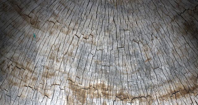 Old Wood Texture Pack 1 05